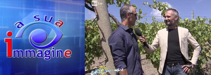  A sua Immagine - Le vigne Est! Est!! Est!!!