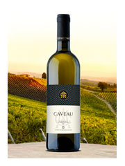 Caveau Est! Est!! Est!!! D.O.C.