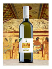 Ludus bianco Colli Etruschi Viterbesi D.O.C.