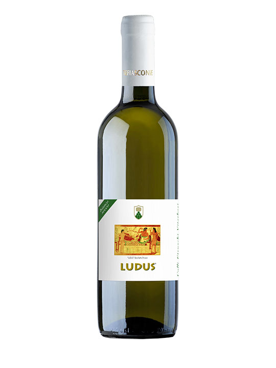 Ludus bianco Colli Etruschi Viterbesi D.O.C.